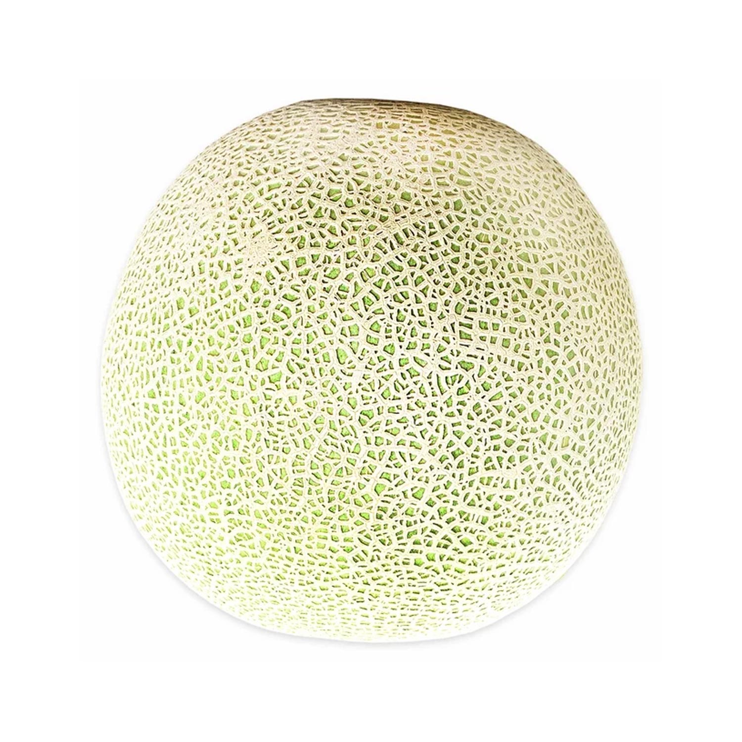 Fresh Cantaloupe, Each – Image 2